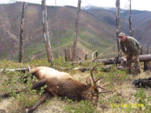 Elk Hunting