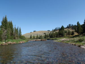 Blackfoot river