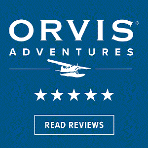 Orvis Reviews