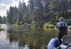 Montana Fly Fishing Adventures Fly Fishing on the West Fork Bitterrroot river